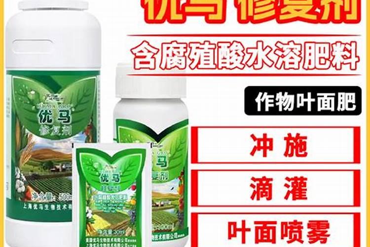 矿源黄腐酸钾哪个厂家好