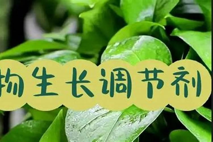 黑绿壮叶面肥里的有效成分都有什么呀