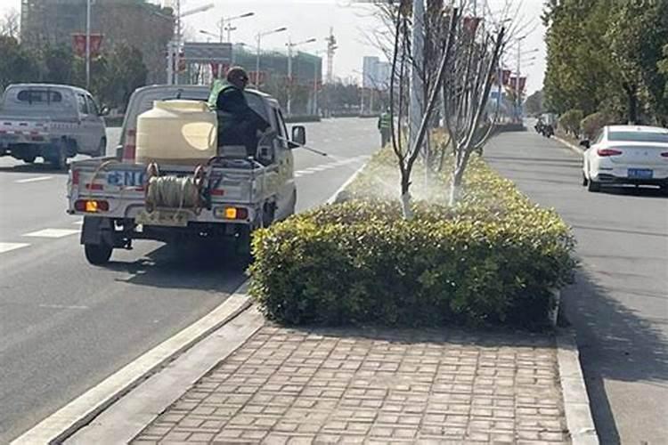 打石硫合剂能不能带上叶面肥？