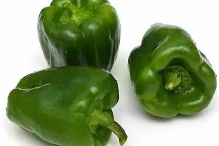 辣椒用什么肥料最好