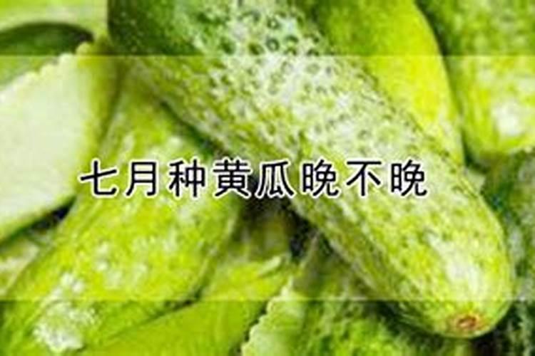 芸豆叶面浅绿,用什么叶面肥？