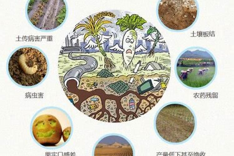 大姜出苗期间可以冲矿源黄腐酸钾吗？