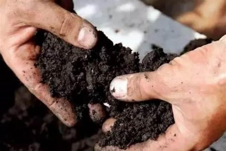 葡萄二次膨大期施啥肥