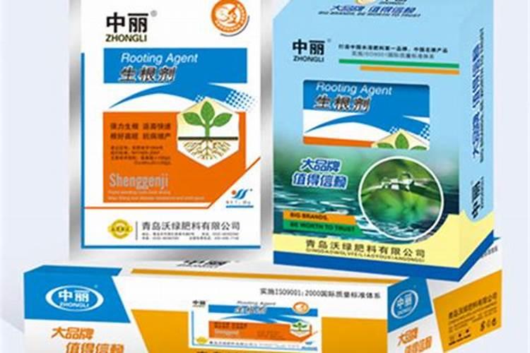 生根肥料有哪些