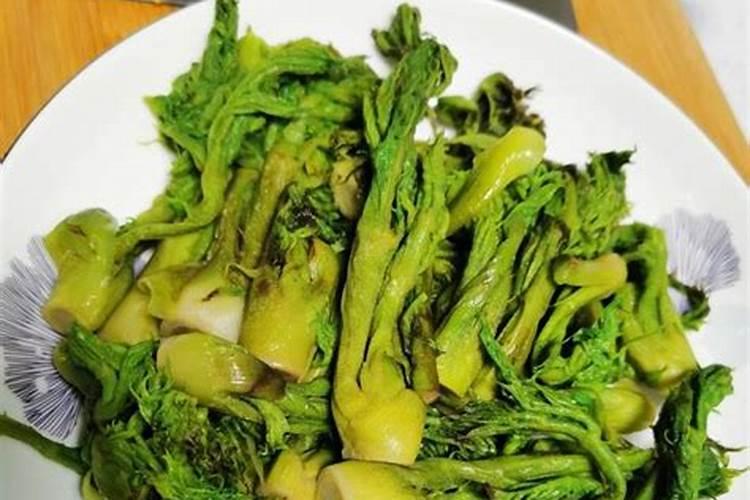 种蔬菜用什么肥料最好