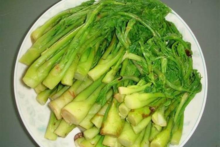种蔬菜用什么肥料最好