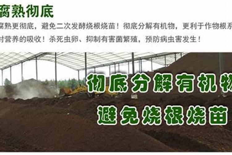 北京周边哪能买到有机肥