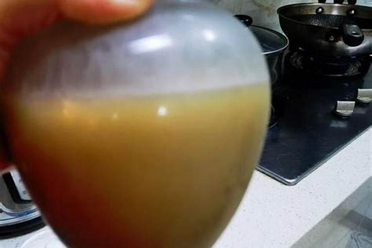 动物油能给月季施肥吗