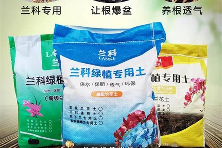 如何养兰花让它很快的长新芽