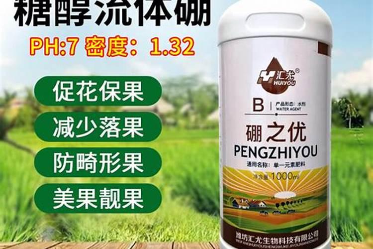 草莓苗期用什么肥料好