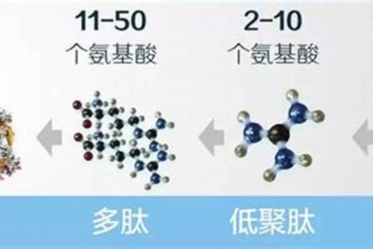 禹城联合利农生物科技有限公司怎么样？
