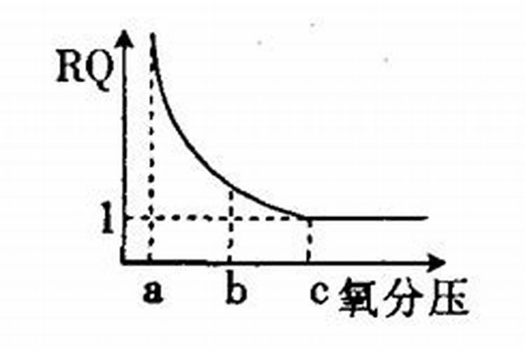 中量元素什么时候使用最好