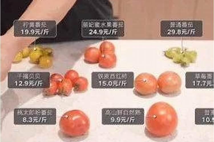 夏季番茄如何保花保果 番茄应该怎么种植