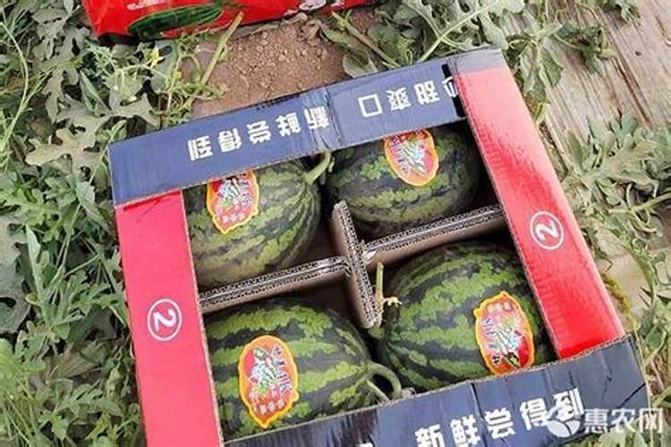 西瓜施多少底肥最好