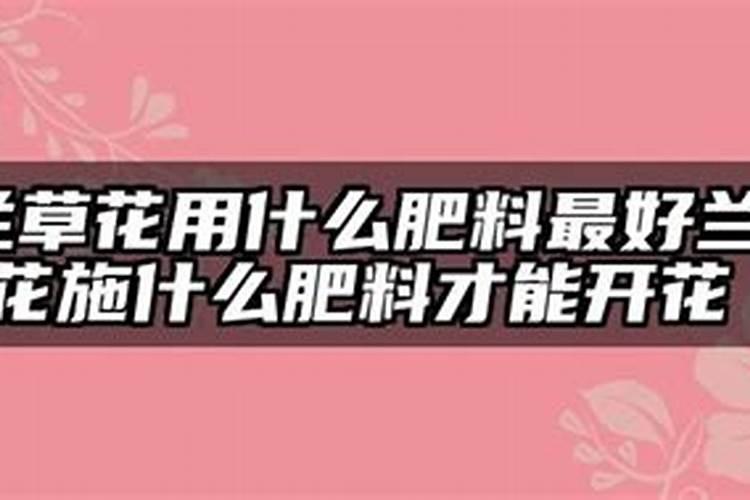 兰草花施什么肥料