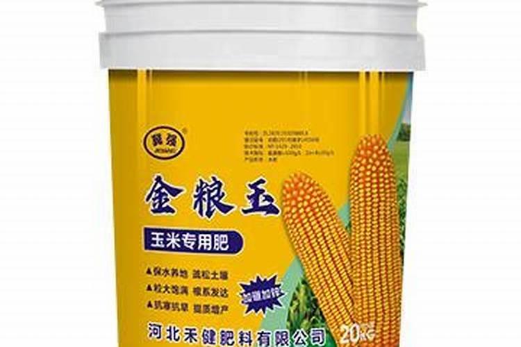 西兰花黑腐病防治措施有哪些