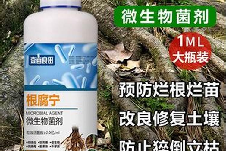 根腐病冲施多菌灵和乙蒜素哪个效果好一点