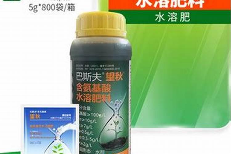 荔枝树施肥时间和方法