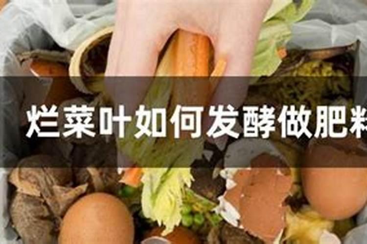 韭菜烂叶黄叶的原因是什么？腐植酸水溶肥壮株促生长效果如何