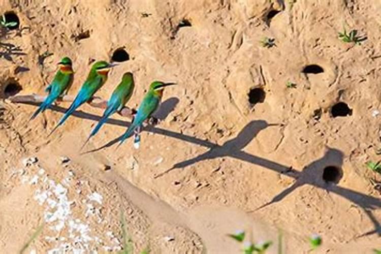 金门国际商业广场怎么样？好不好？值不值得买？