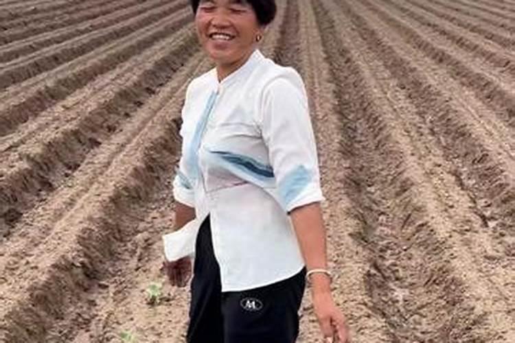 食用油和酱油能溶解于水吗