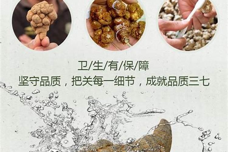 云南哪里的三七最好最正宗
