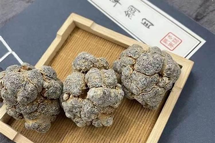云南三七产地在哪里