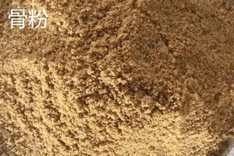 怎样用红糖做肥料
