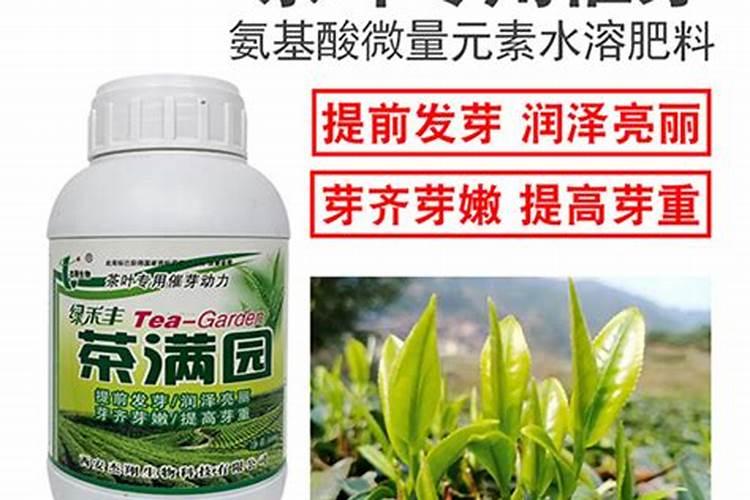 ...含氨基酸水溶肥料在茶叶上应用示范试验叶面肥冲施肥