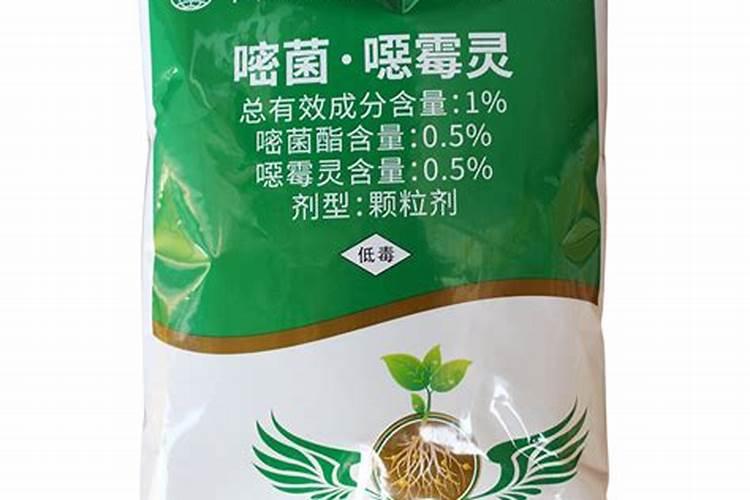 小麦干尖黄叶怎么治疗
