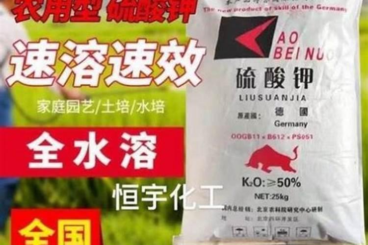 桔子花什么时候开花 桔子花开花时间