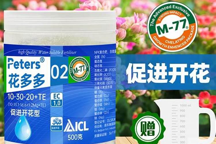 水培绿萝怎么施肥