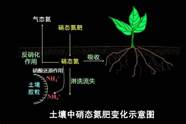 如何自制氮磷钾肥