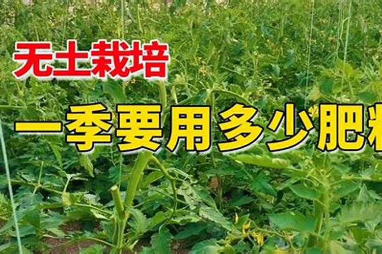 土壤疏松剂是什么东西啊