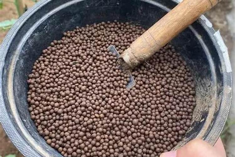 养殖池塘青苔多如何处理,养殖塘有青苔怎么办