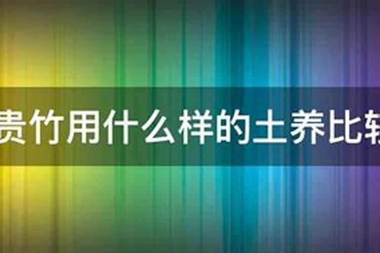 富贵竹怎么养才能更旺盛施什么肥