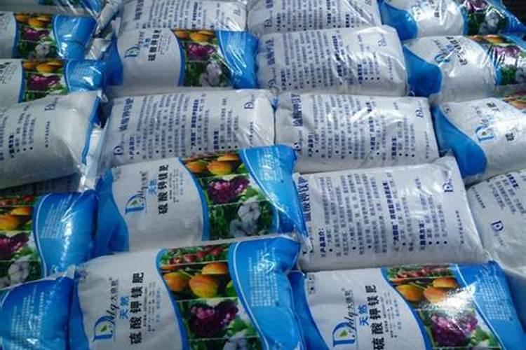 捕蝇草浇水是喷还是浇