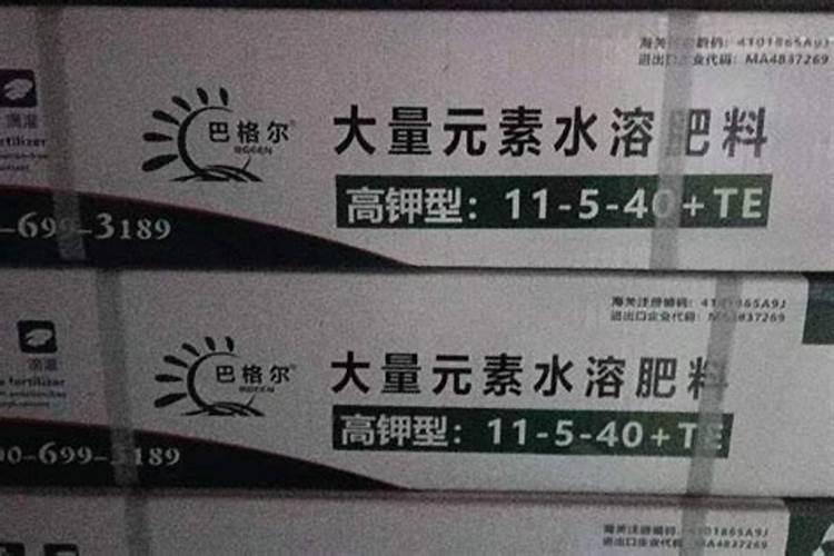花菜是怎样种植的？什么时间种植？