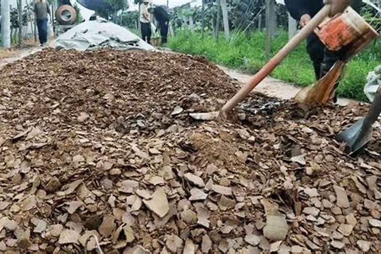 油菜饼和复混肥混合使用对茶树有害吗
