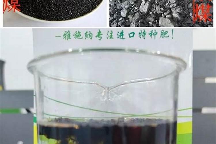 黄腐酸钾结块还能用吗