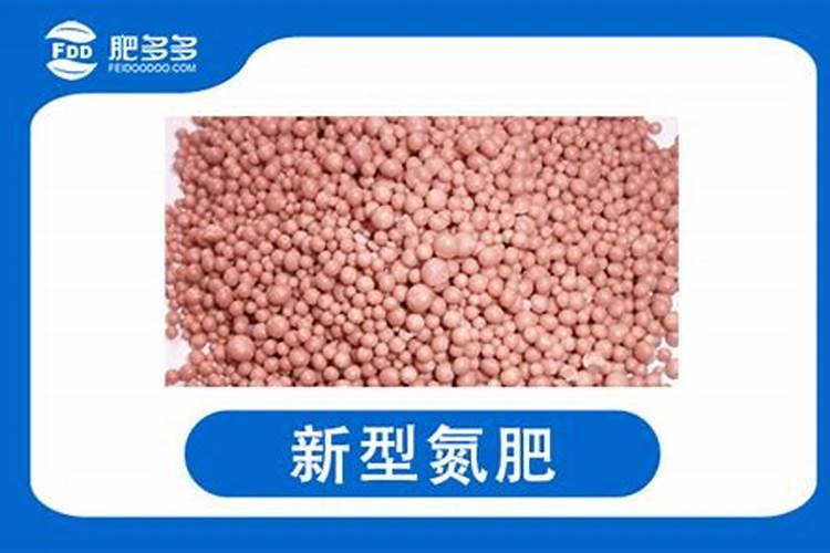 深受青睐的橙子,如何正确施硼肥？
