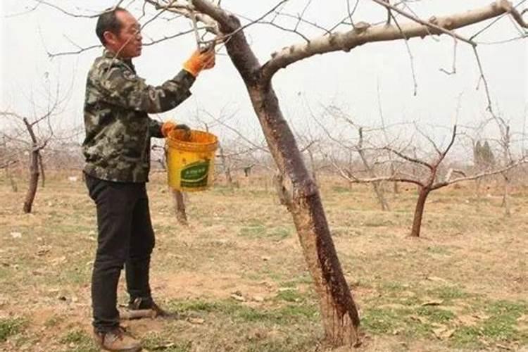 涂杆365适合在什么时期使用