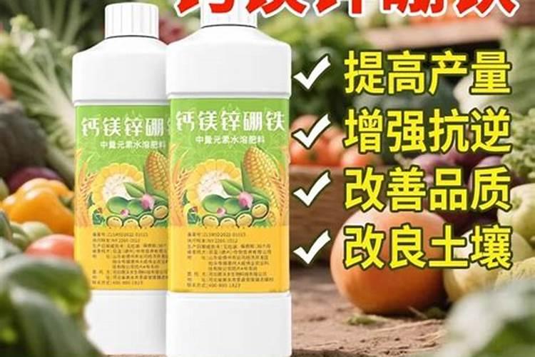 有没有关于名人读书的故事啊？最好长点,10分钟后告诉我