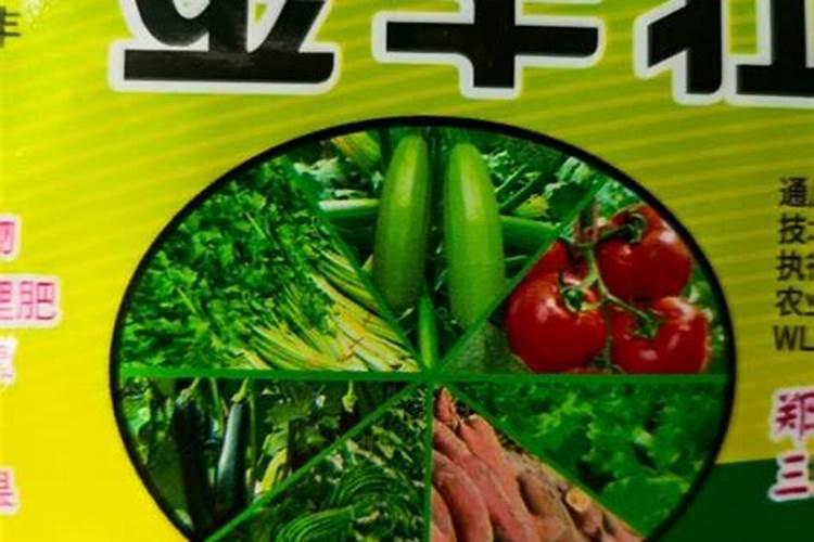 黑绿壮叶面肥的有效成分主要是哪些