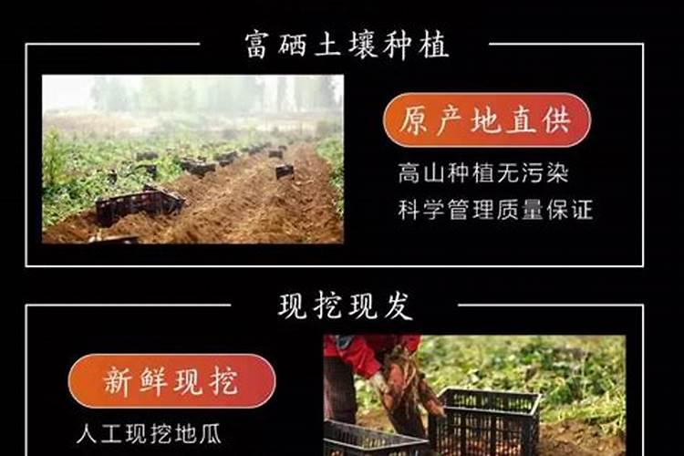 什么作物可以生产富硒产品