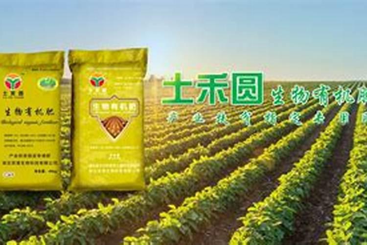 大蒜浇几次水都什么时候浇水