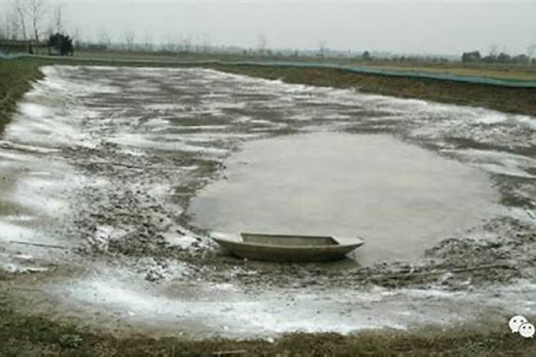 想要提高水产的产量和质量,水产养殖户该选择什么样的磷肥呢？