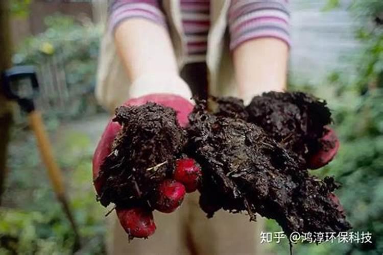 堆肥不用发酵剂可以吗