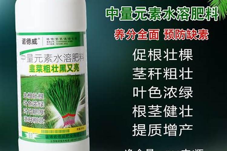 东北粘耗子的来历和传说