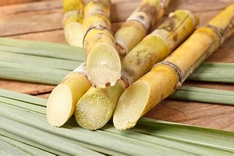 甘蔗施什么肥料最甜(长的高快)